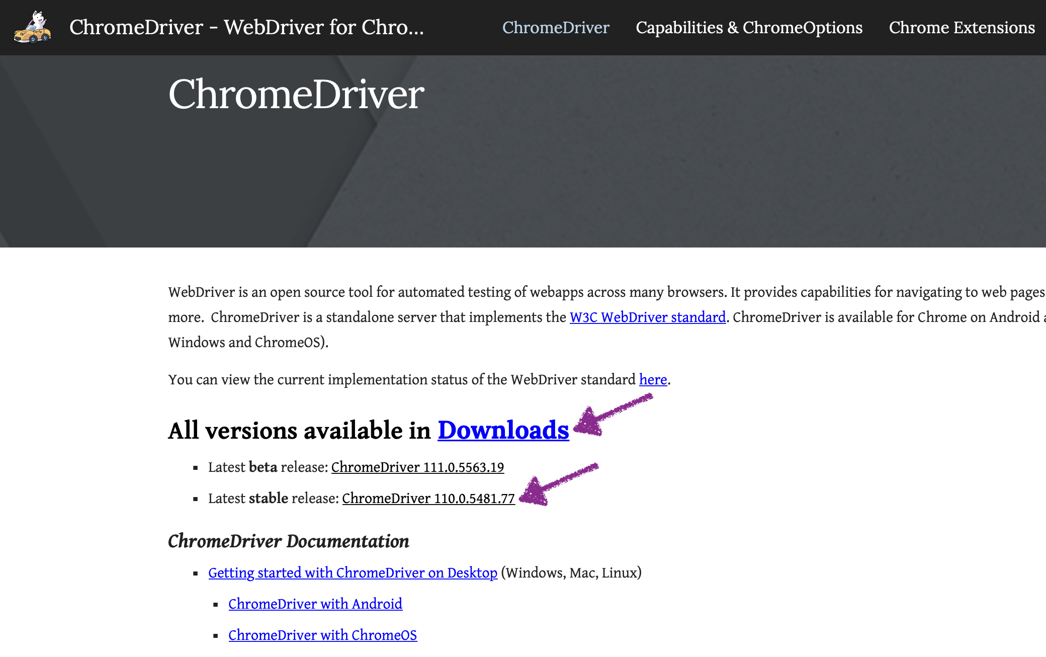 How To Download Chrome Driver For Selenium AutomationTestingHub